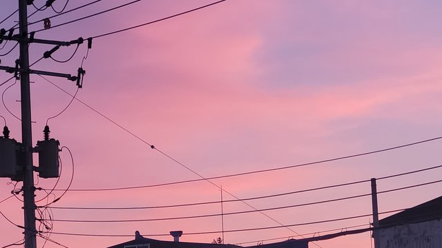 1000046026.jpg