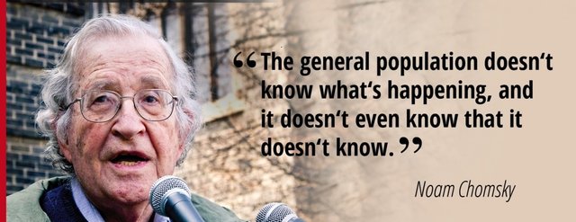 Zitat Chomsky_E.jpg