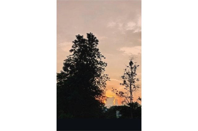 Picsart_25-09-09_09-46-30-668.jpg
