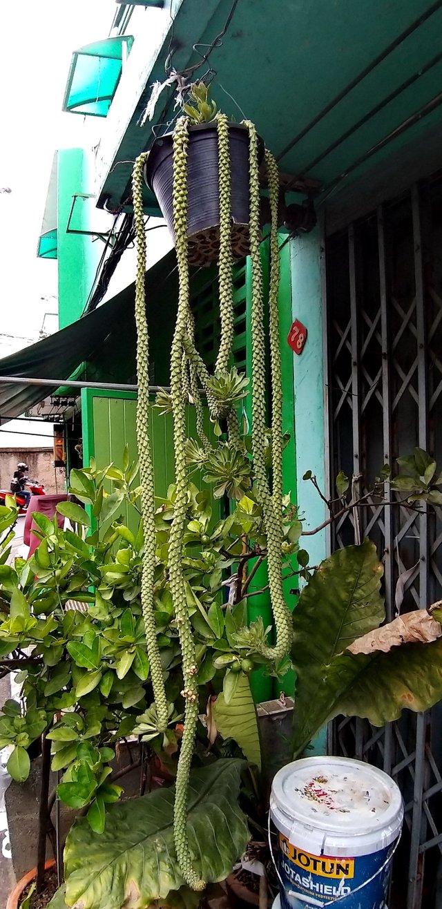 iPhone 6 - 002.jpg