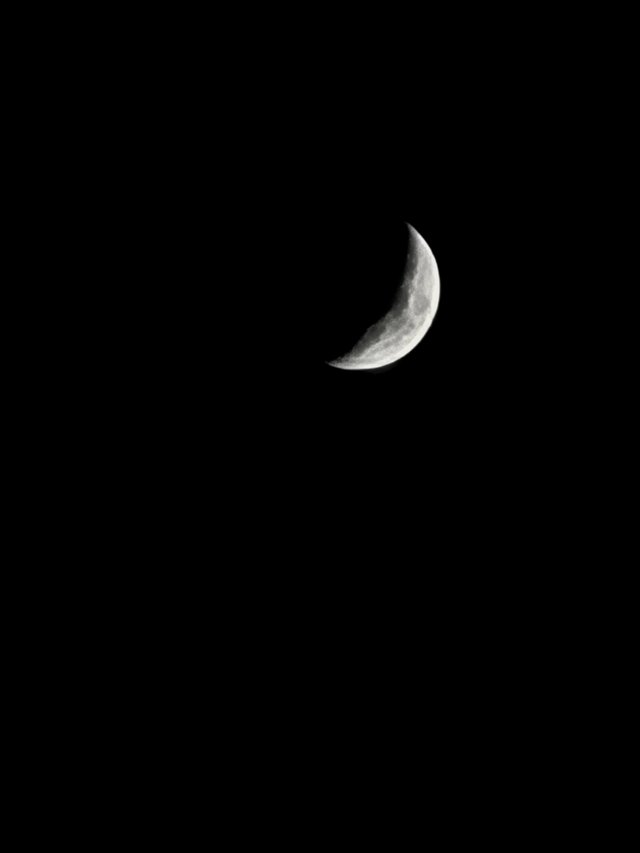 20250730_200818.jpg