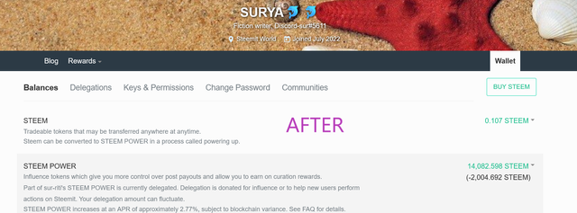 Screenshot 2025-03-30 at 06-25-41 Steemit Wallet.png