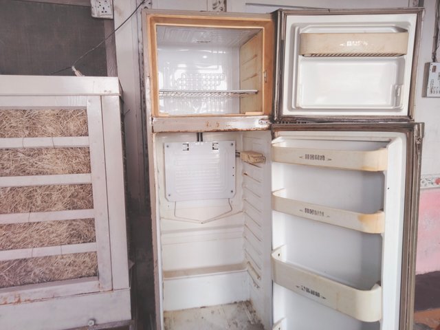 IMG20250605160751.jpg