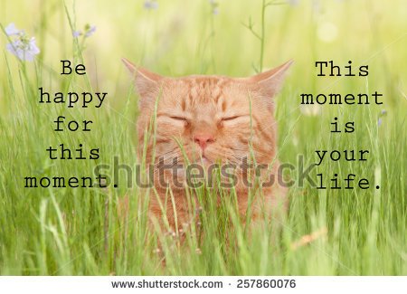 stock-photo-be-happy-for-this-moment-this-moment-is-your-life-an-inspirational-quote-by-omar-khayyam-with-257860076.jpg