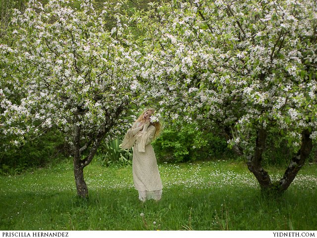 The Apple Orchard- Idunn Norse Goddess - by priscilla Hernandez (yidneth.com)-3.jpg