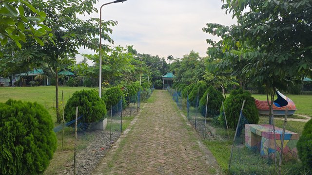 20250831_162857.jpg