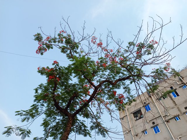 1000097175.jpg