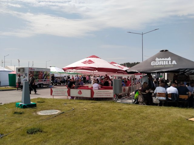 IMG_20250605_133153_1.jpg