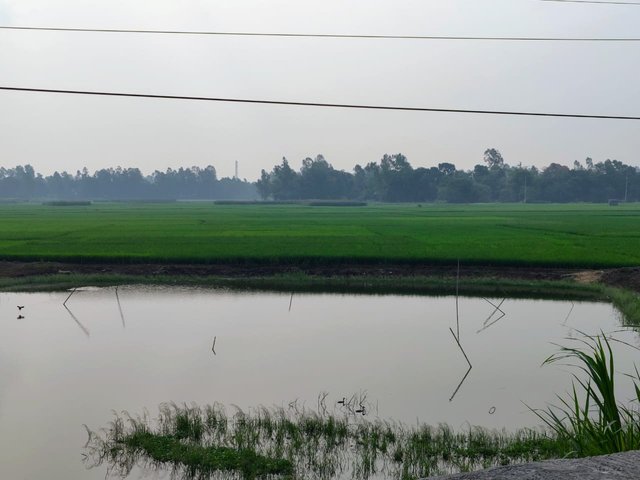 IMG-20250429-WA0011.jpg