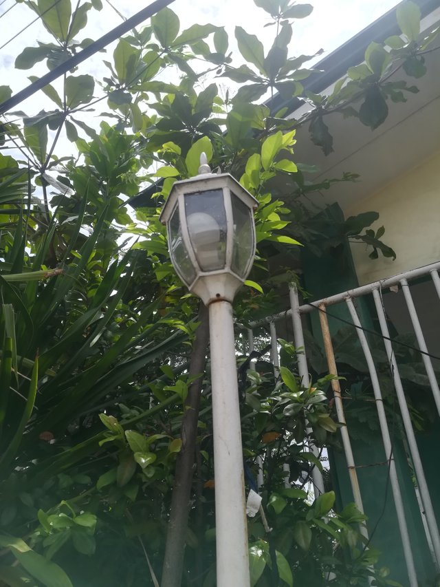 IMG_20190801_130642.jpg