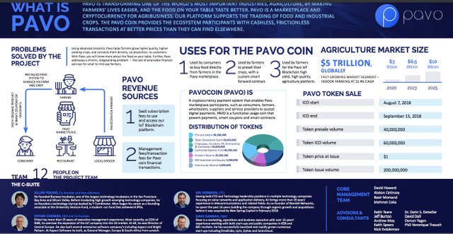 pavoooo.jpg