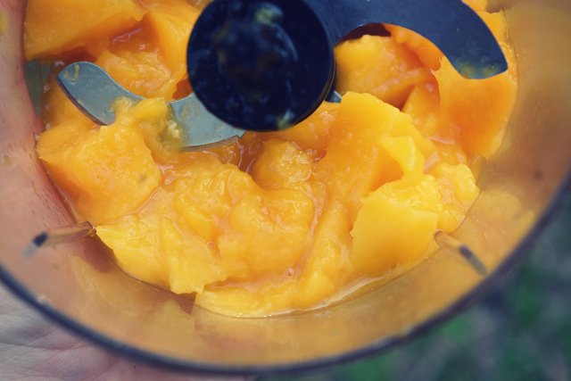 mango-coconut-pudding-3.jpg