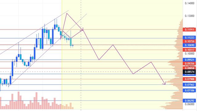 СELR: Trading Idea