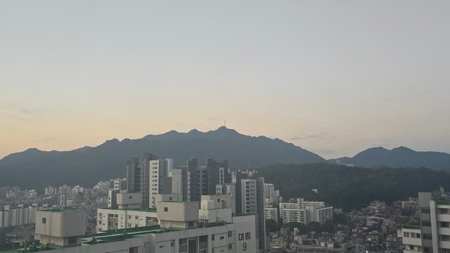 1000143263.jpg