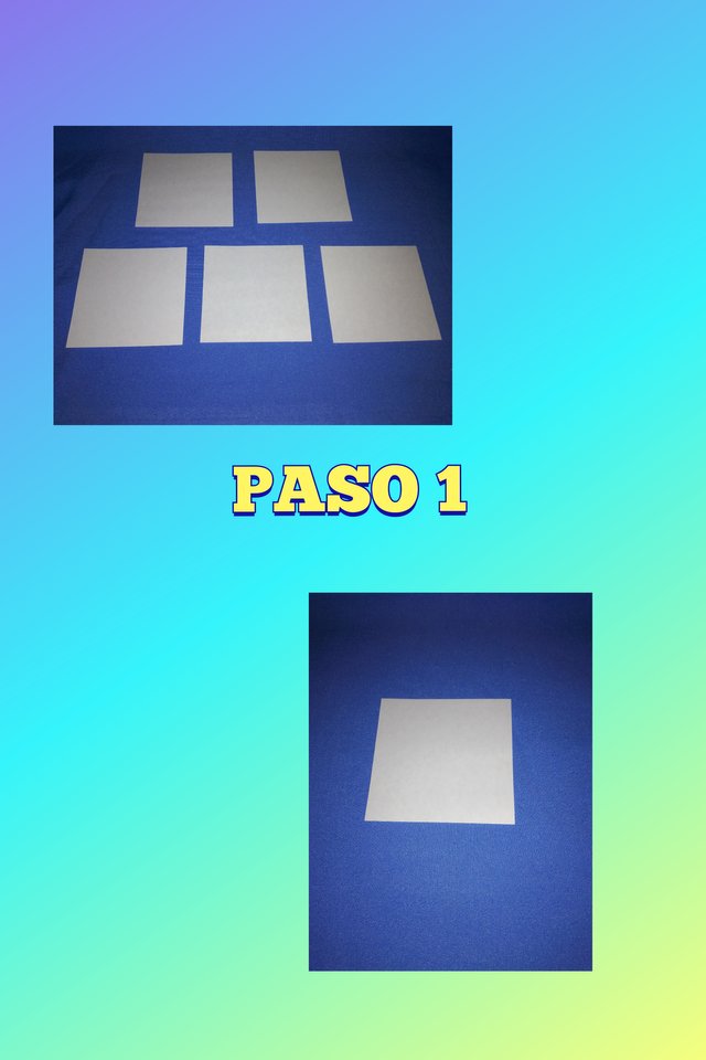 paso 1.jpg