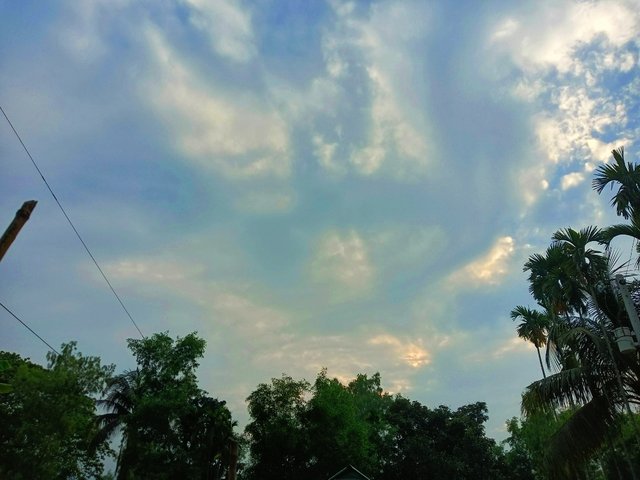 IMG_20250405_230811.jpg