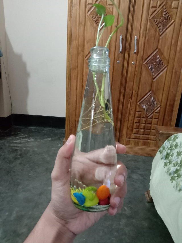 309392782_1197800117441349_4792074657745510046_n(1).jpg