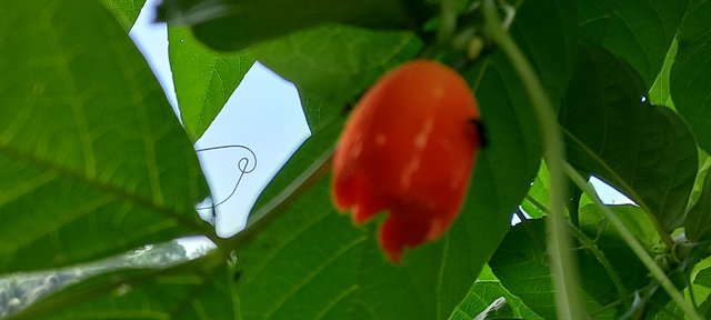 20220926_101226.jpg