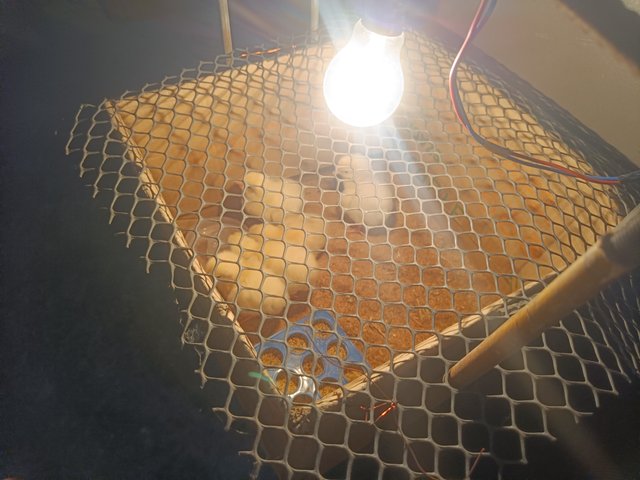 IMG20250429103047.jpg