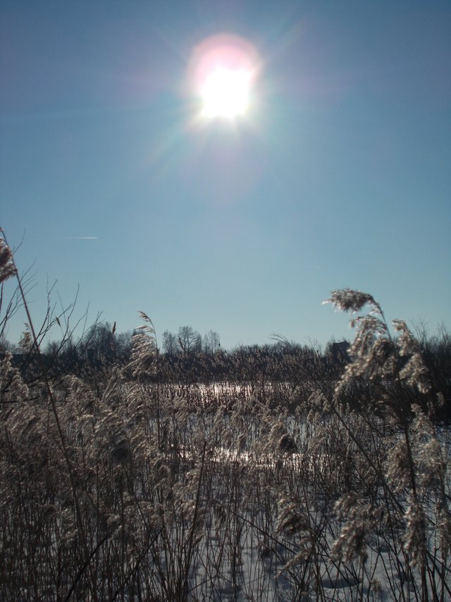 DSCN0577.JPG