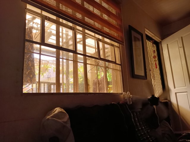IMG20250416142812_093208.jpg