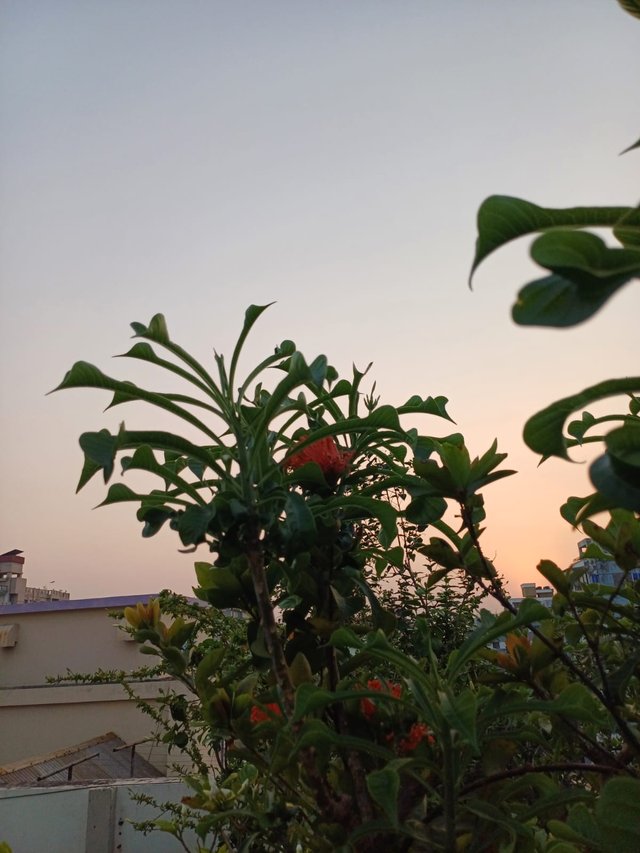 IMG-20250426-WA0034.jpg