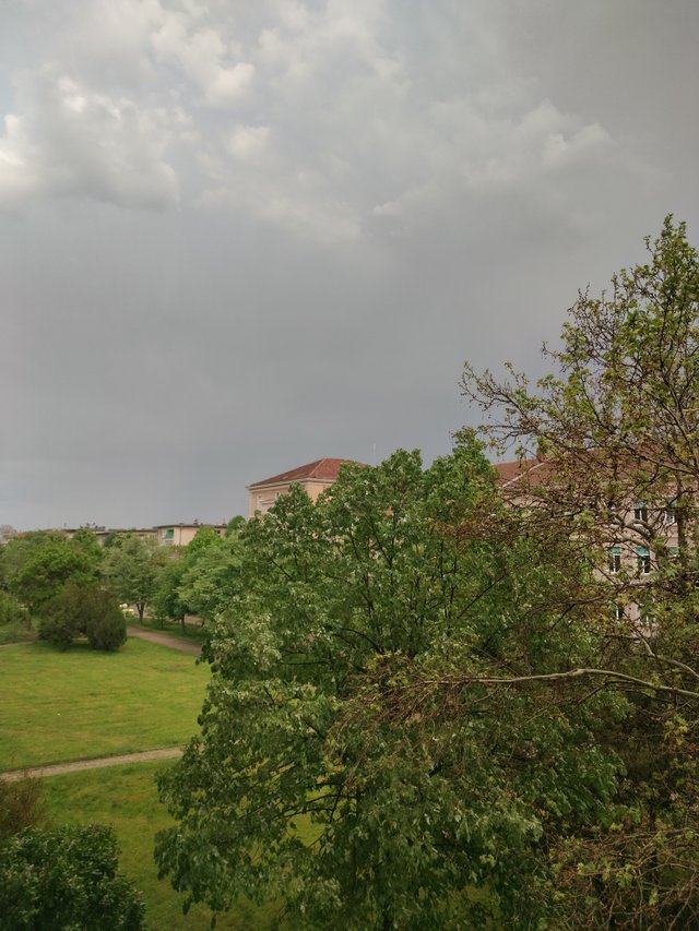 IMG_20250426_190725_HDR.jpg