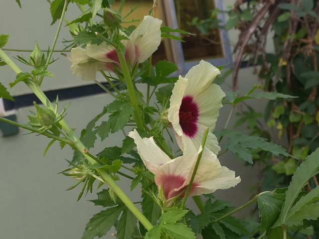 20241016_085024.jpg