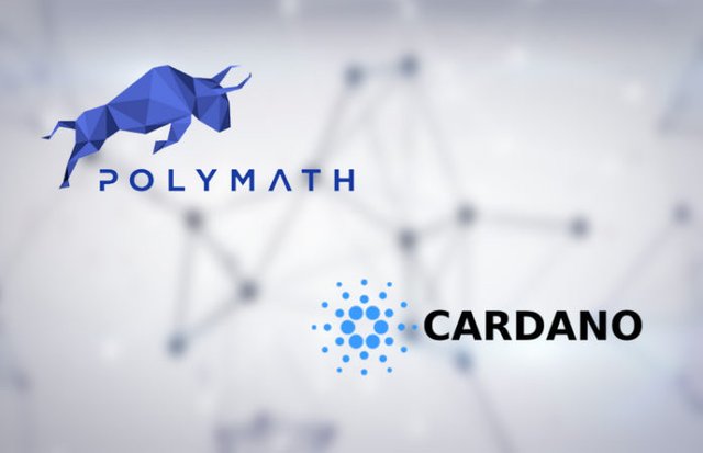 Polymath and cardano.jpg