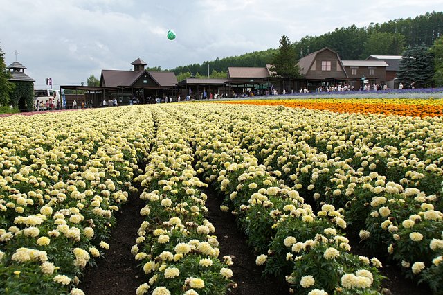Japan-Hokkaido12802-1766.jpg