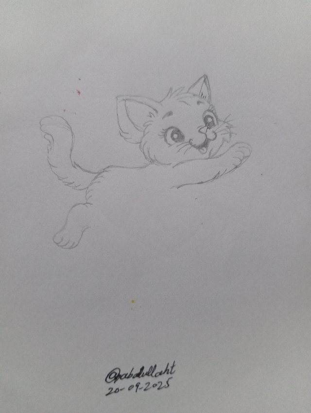 1000106151.jpg