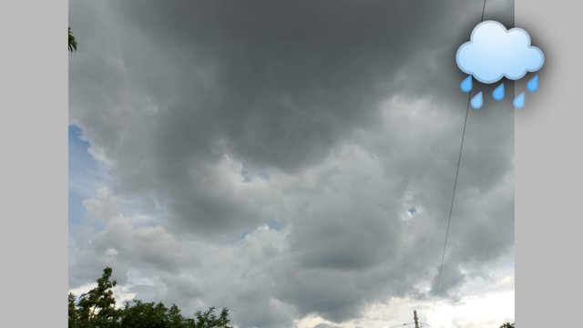 FotoGrid_20250606_192628854.jpg