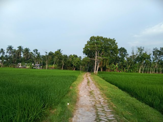 IMG_20250914_142327.jpg