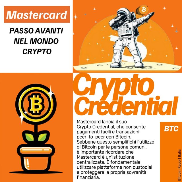 30_05 - 3. Bitcoin Mastercard Visa Banche Credit.jpeg