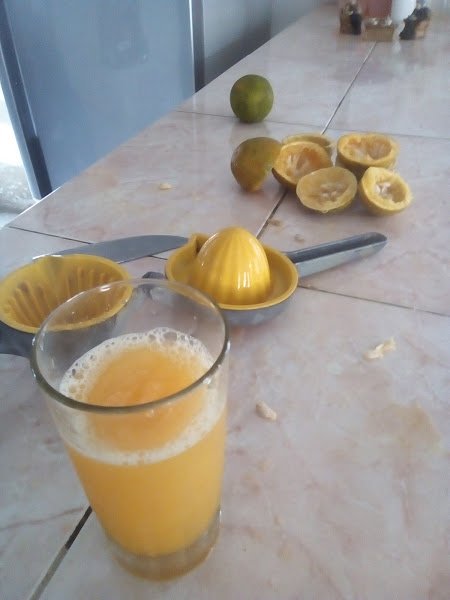 desayuno14.jpg