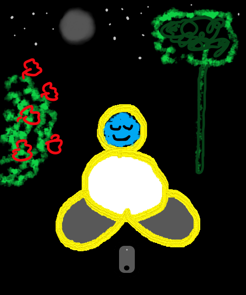 the zen meditator .png