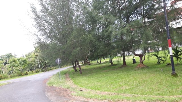 IMG-20250428-WA0007.jpg