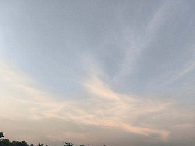 IMG_20250613_185323.jpg
