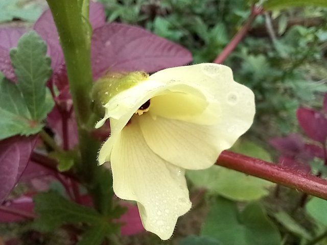 20250620_101427.jpg