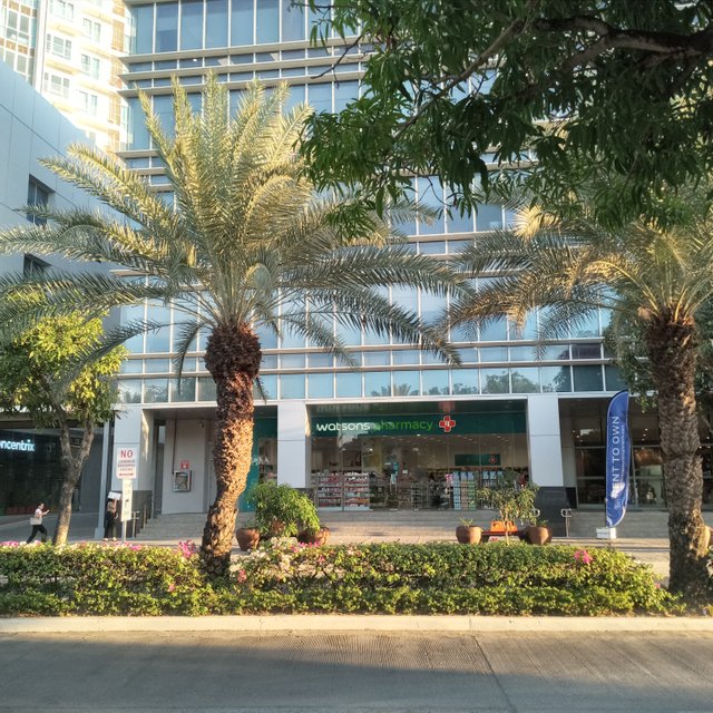 20250424_172220.jpg