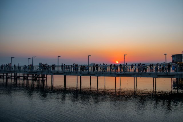 DSC_6637.jpg
