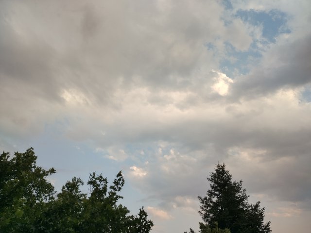 IMG_20250709_194237_HDR.jpg