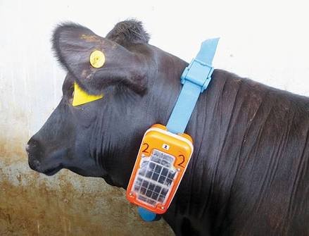 FARMS: TECHNOLOGY AND TECHNIQUES FOR RAISING FARM ANIMALS — Steemit FARMS: TECHNOLOGY AND TECHNIQUES FOR RAISING FARM ANIMALS — Steemit
