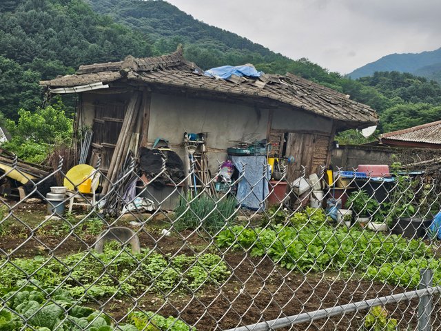 20250705_125753.jpg