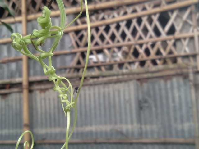 20250624_135407.jpg