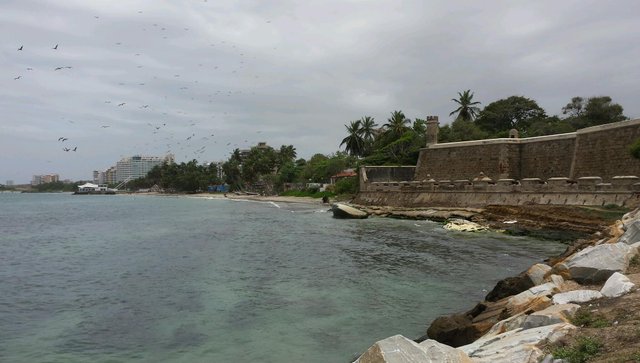 rps20180707_070628.jpg