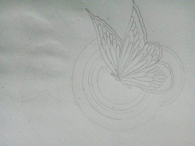 IMG20250928064734.jpg