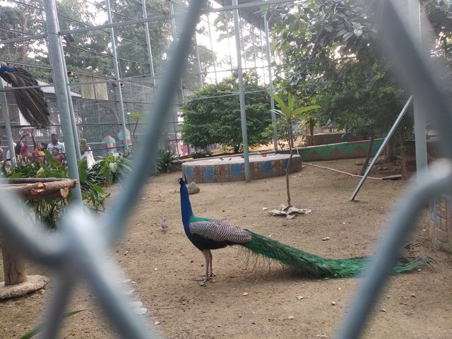 IMG_20250517_165026.jpg