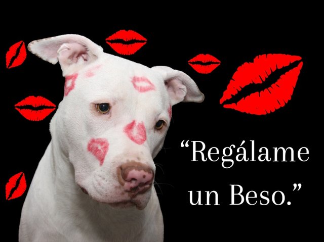 story instagram DIA INTERNACIONAL BESO minimalista negro_20240629_232947_1.png