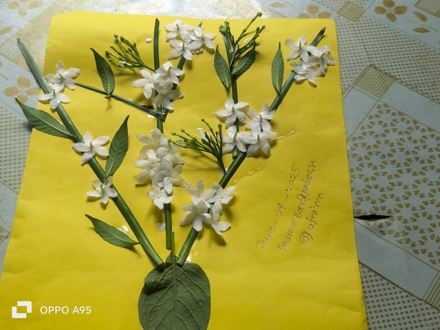 vM1pGHgNcyCXUWJECrZbvn1NMPj1oFGUo3gYfF3NNPRD9SXVk5npGyU38fGn4czAniRzSB7HCuFpsW1e3o7nhYiZiwhYbNjCbBDs19M9vSpBqUQDC3M7zf4VnU2fDoZkDQot8jp.jpg